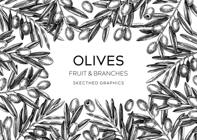Sketched olive tree branches frame design. Hand drawn fruit and leaves background in engraved style. Vegetable oil ingredients banner template for print. Olive plant sketches isolated on white
